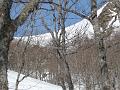 fourcat_gerard 010